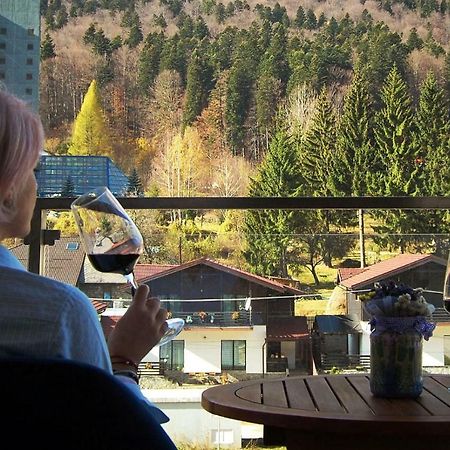 Maison Turquoise Sinaia Ngoại thất bức ảnh